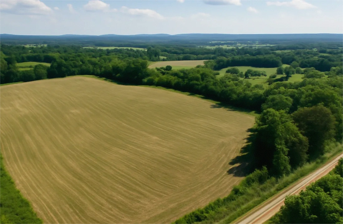 North Carolina land offer review for Tax on Selling Land in North Carolina